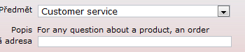 customer service.png